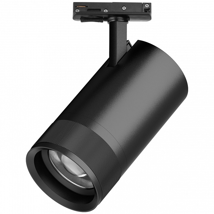 Светильник на штанге Lightstar Canno Pro C4407SS