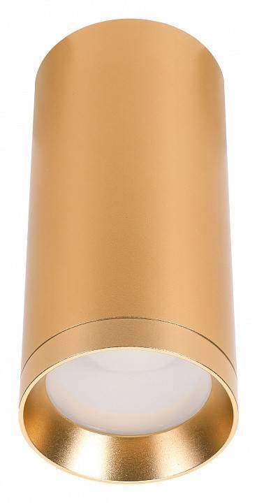 Накладной светильник Lucia Tucci Caruso GU10 золотой LTP-C005-01GU10-G