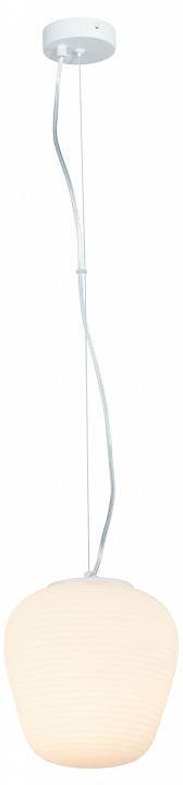 Подвесной светильник Moderli Arden V11344-1P