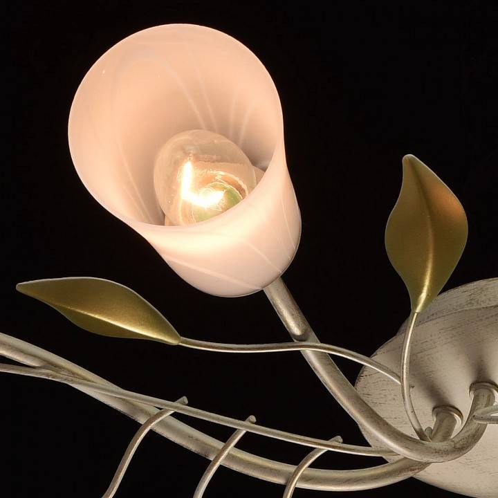 Потолочная люстра MW-Light Восторг 6 ламп 242015306