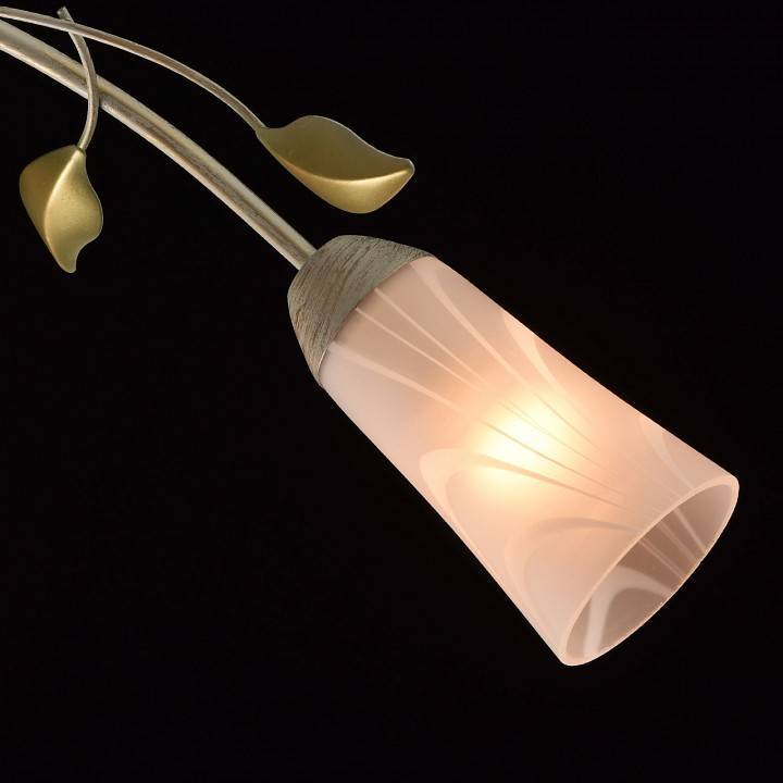 Потолочная люстра MW-Light Восторг 6 ламп 242015306