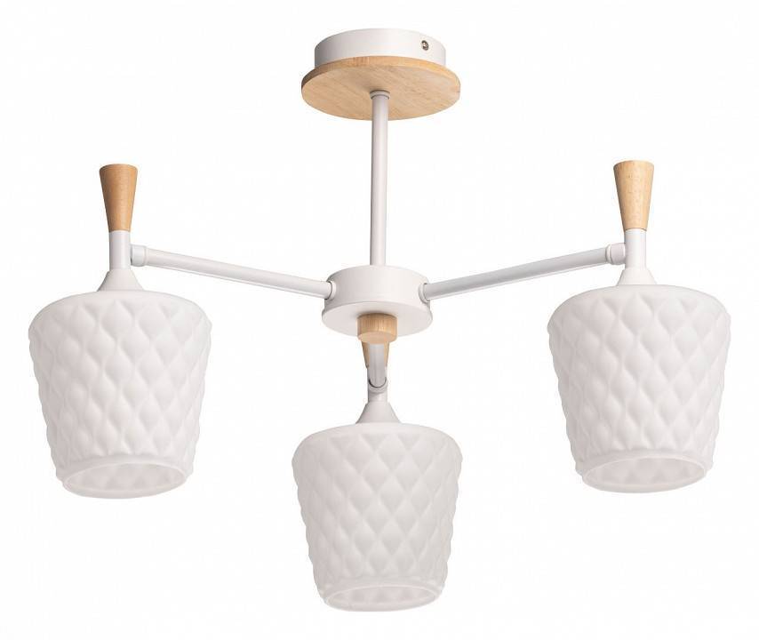 Люстра на штанге De City Дэла 6 635015003