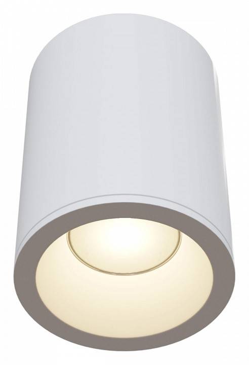 Накладной светильник Maytoni Zoom C029CL-01W