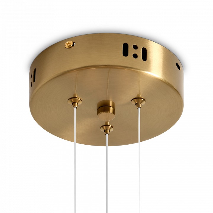 Подвесная люстра Freya Alias FR2050PL-L50BS