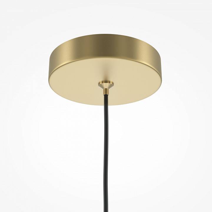 Подвесной светильник Maytoni Pro Focus MOD161PL-01G1