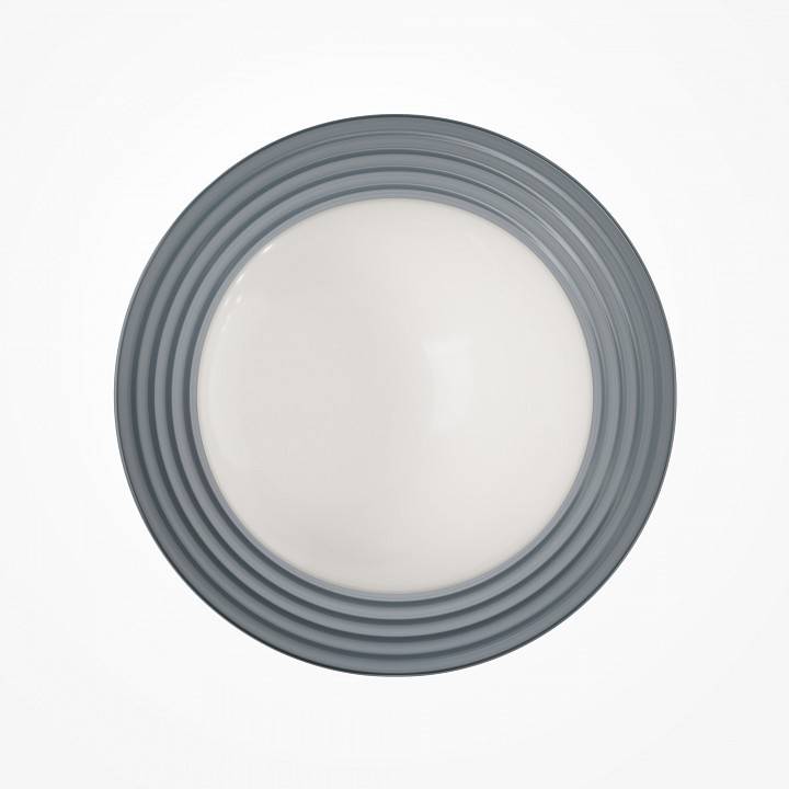 Накладной светильник Maytoni Careless MOD403WL-01GR