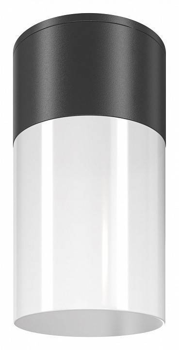 Потолочный светильник Maytoni Willis 1xE27 черный O418CL-01B