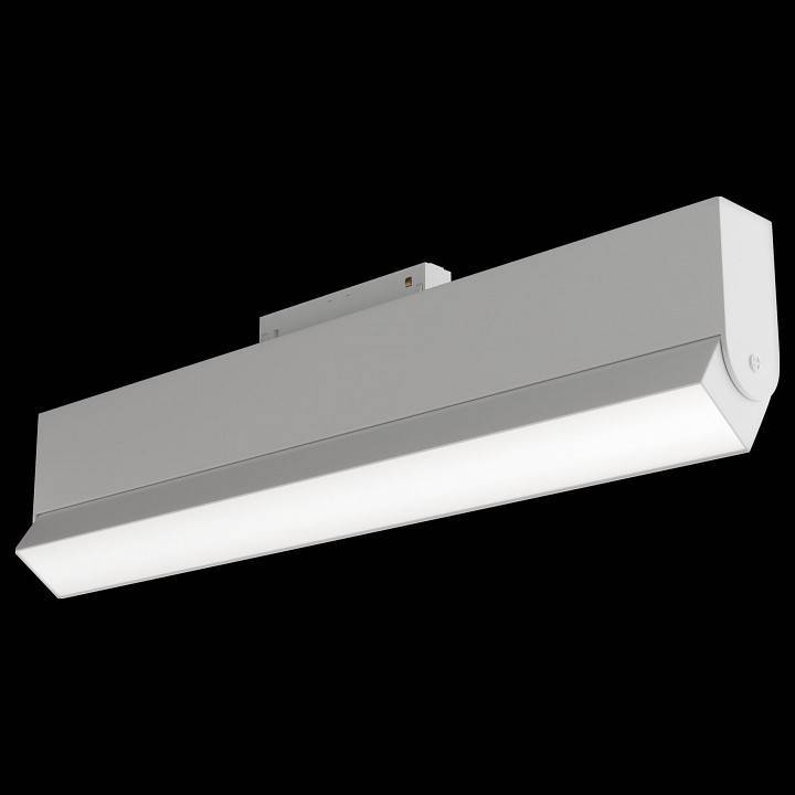 Трековый светильник Maytoni BASIS TR013-2-20W3K-W