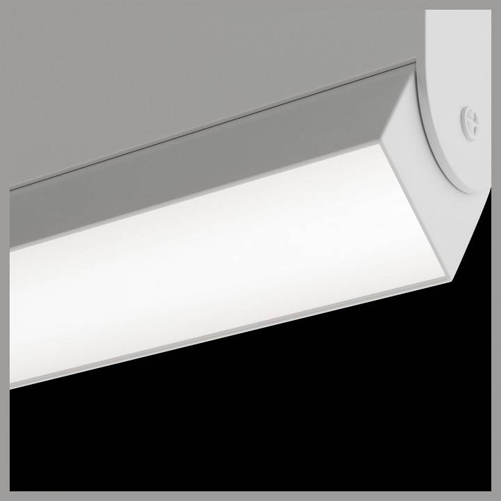 Трековый светильник Maytoni BASIS TR013-2-20W3K-W