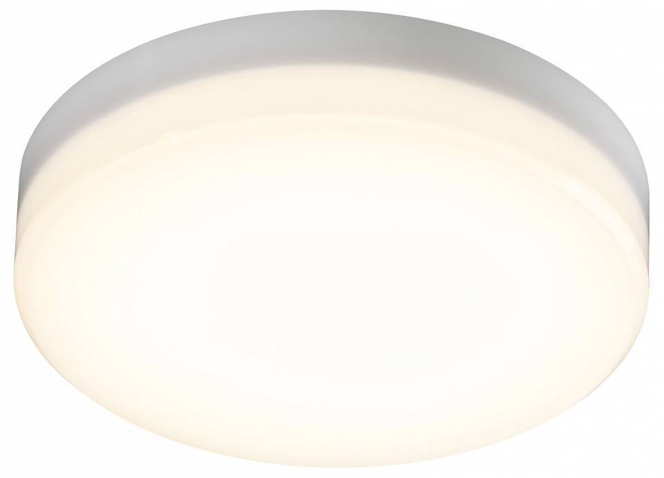 Накладной светильник Novotech Pandora 358684