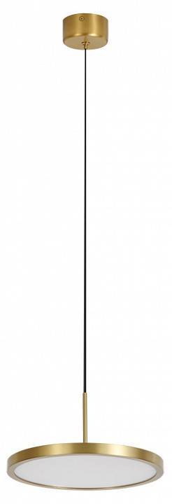 Подвесной светильник Newport 3510 3511/S brass