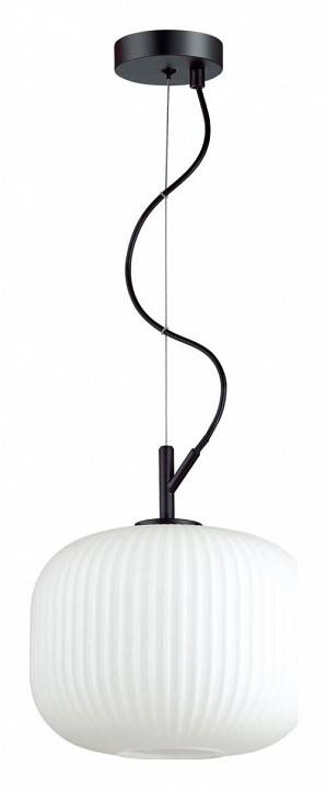 Подвесной светильник Odeon Light Roofi 4753/1