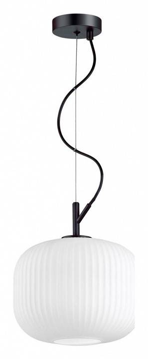 Подвесной светильник Odeon Light Roofi 4753/1