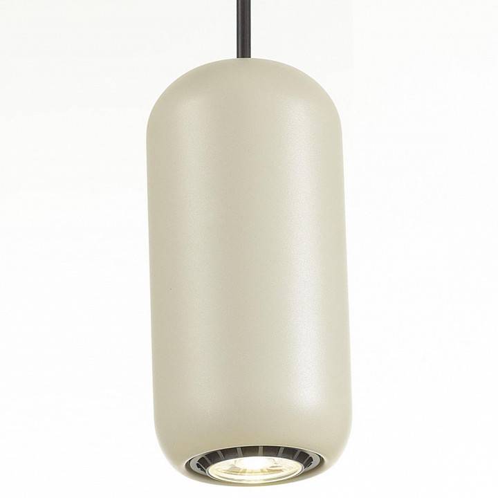 Подвесной светильник Odeon Light Cocoon 5060/1G