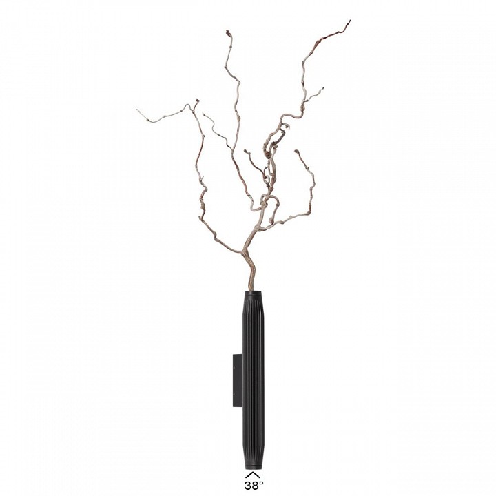 Накладной светильник Odeon Light Jug 7141/6WLA