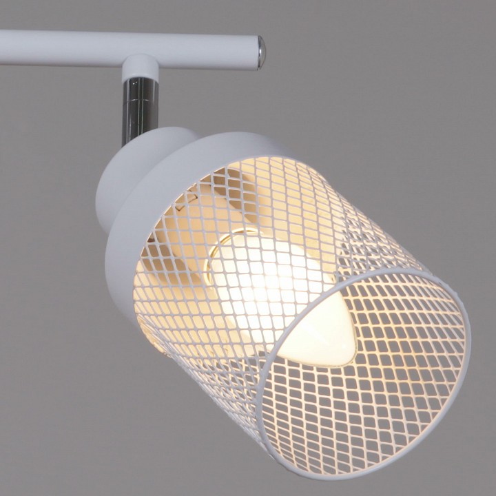 Светильник на штанге  05905-0.8-02 WH+CR