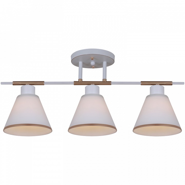 Люстра на штанге Reluce 07594-0.3-03 WG