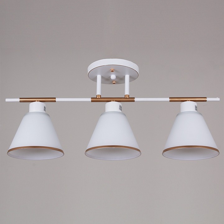 Люстра на штанге Reluce 07594-0.3-03 WG