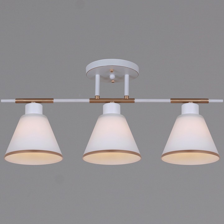 Люстра на штанге Reluce 07594-0.3-03 WG