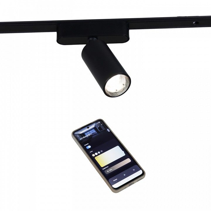 Светильник на штанге Reluce 13005 13005-9.3-001UR magnetic LED12W BK CCT+SMART