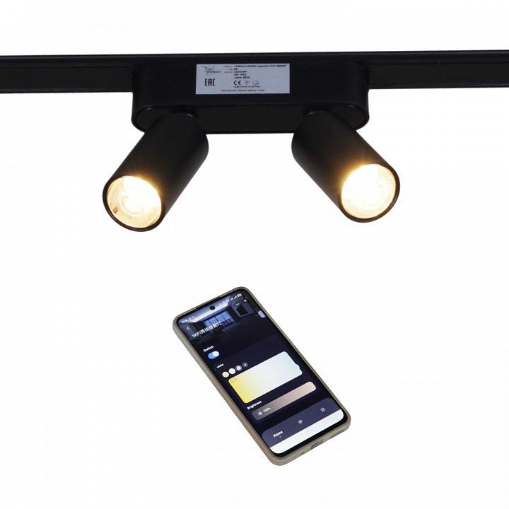 Светильник на штанге Reluce 13005 13005-9.3-002UR magnetic LED2x5W BK CCT+SMART