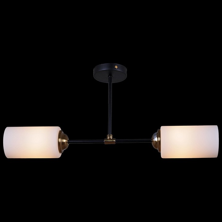 Светильник на штанге 32348-0.3-02