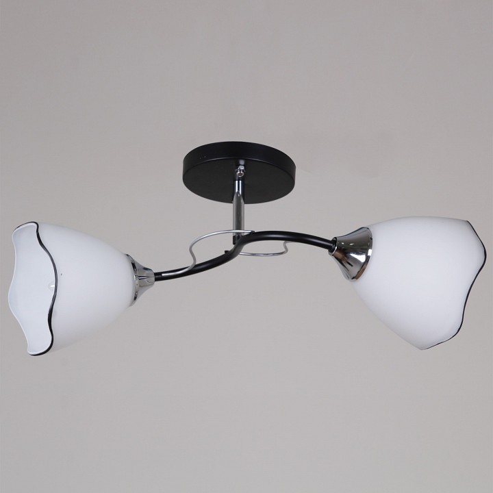 Светильник на штанге  79360-0.3-02 BK+CR