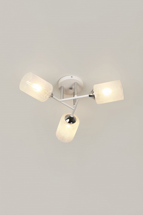 Потолочная люстра Rivoli Federica Б0068438