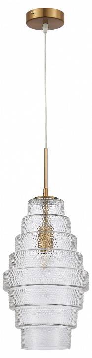 Подвесной светильник ST-Luce Rexite 1 лампа SL1001.213.01