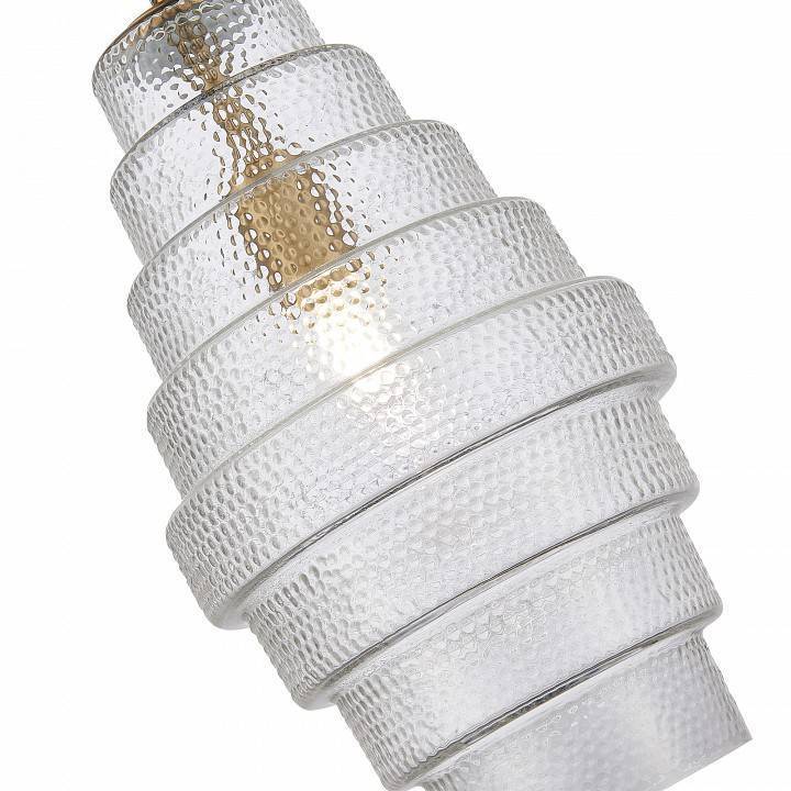 Подвесной светильник ST-Luce Rexite 1 лампа SL1001.213.01