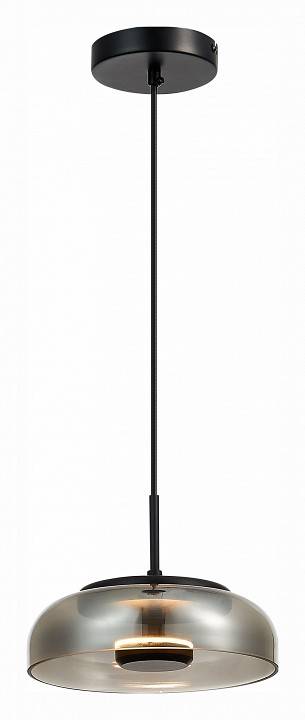 Подвесной светильник ST Luce Lazio 1 лампа SL6002.403.01