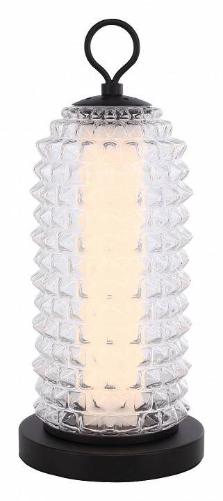 Настольная лампа декоративная ST-Luce SAGUARO SL6144.404.01