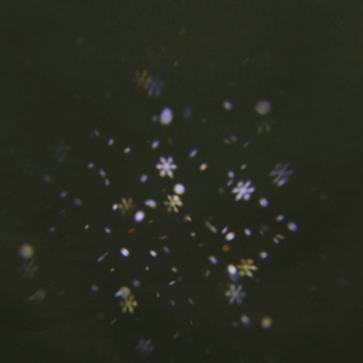 Настенный прожектор Sneha  00328-0.2-01