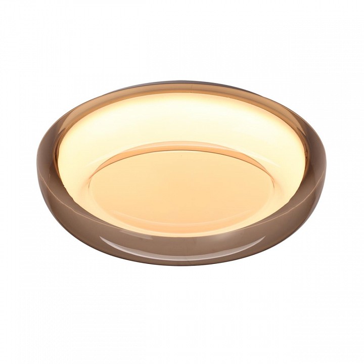 Накладной светильник Sonex PORTMAN 7777/DLN