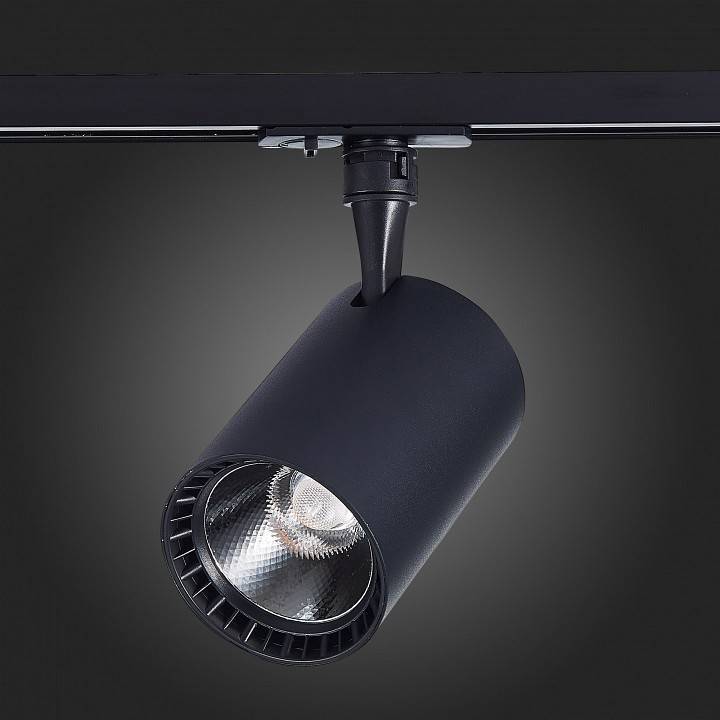 Светильник на штанге ST-Luce Cami ST351.436.20.36