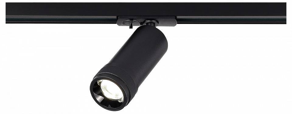 Светильник на штанге ST-Luce BASE ST385.446.20