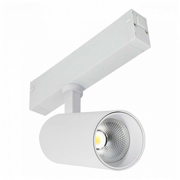 Светильник на штанге ST-Luce SKYLINE 220 ST660.596.10H