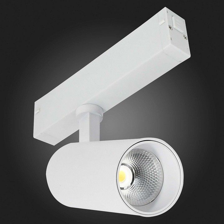 Светильник на штанге ST-Luce SKYLINE 220 ST660.596.10H