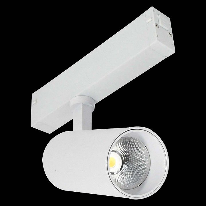 Светильник на штанге ST-Luce SKYLINE 220 ST660.596.10H