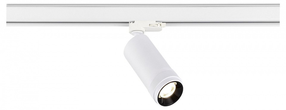 Светильник на штанге ST-Luce ST691 ST691.546.20