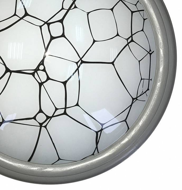 Накладной светильник TopLight Ophelia TL1125-1Y