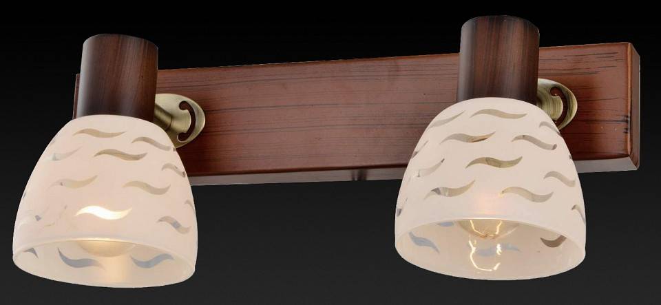 Спот TopLight Shayla 2 лампы TL3730Y-02BB