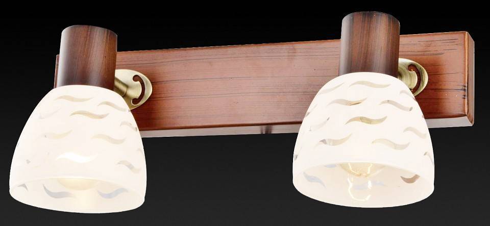 Спот TopLight Shayla 2 лампы TL3730Y-02BB