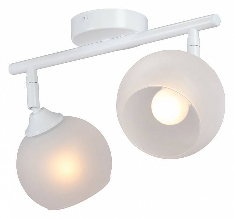 Спот Vitaluce 2 лампы V4313-0/2PL