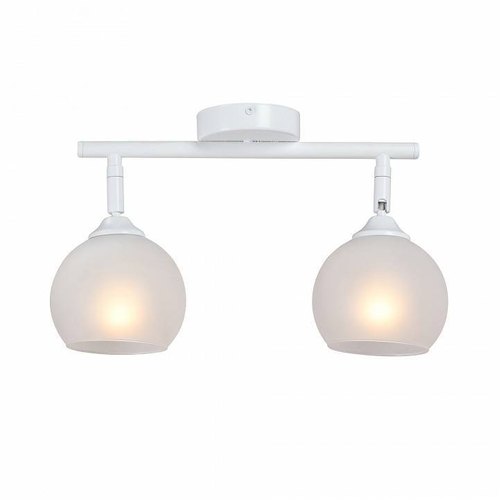 Спот Vitaluce 2 лампы V4313-0/2PL