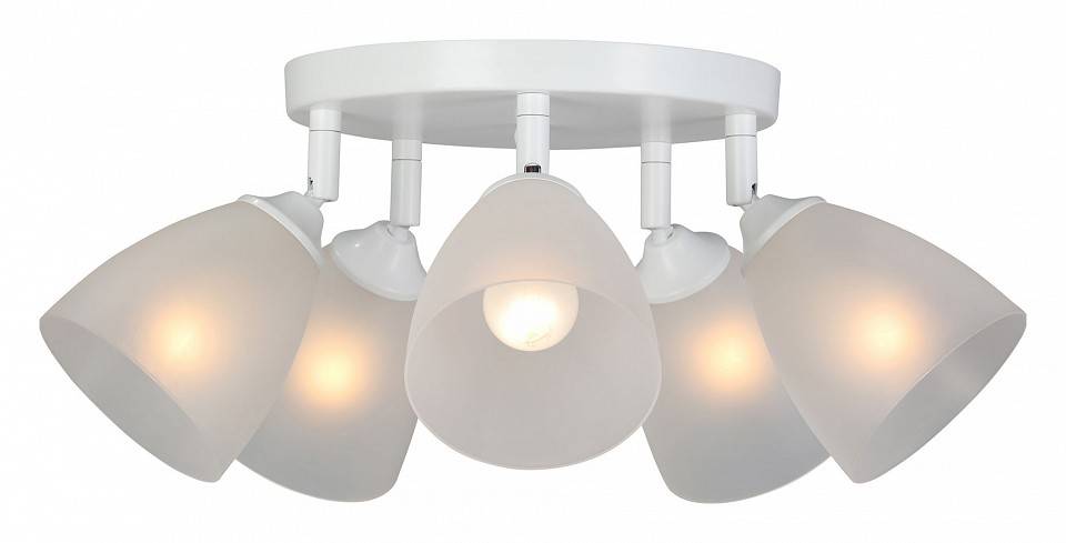 Потолочная люстра Vitaluce V4355 V4355-0/5PL