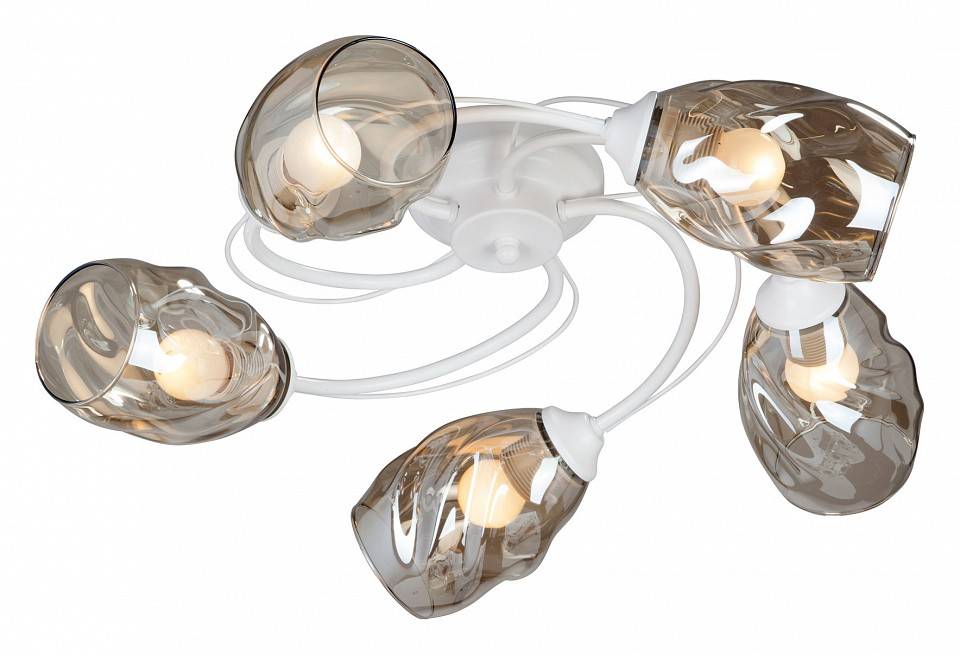 Потолочная люстра Vitaluce 5 ламп E27 V4927-0/5PL