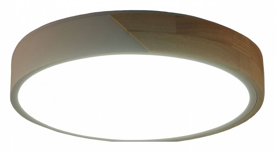 Светильник накладной Zortes ALBERRO ZRS.01239.90