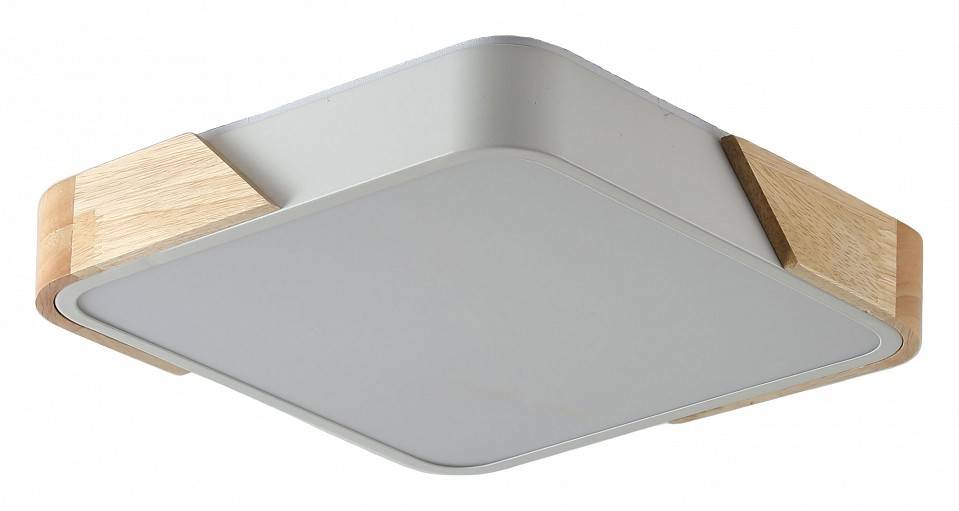 Накладной светильник Zortes ALBERRO ZRS.01285.48