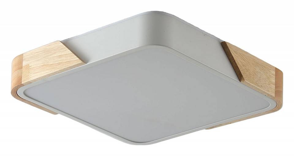 Накладной светильник Zortes ALBERRO ZRS.01285.48